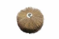 YuanHui Single Metal Band Cylinder Brush - Stainless Steel Wire Brush